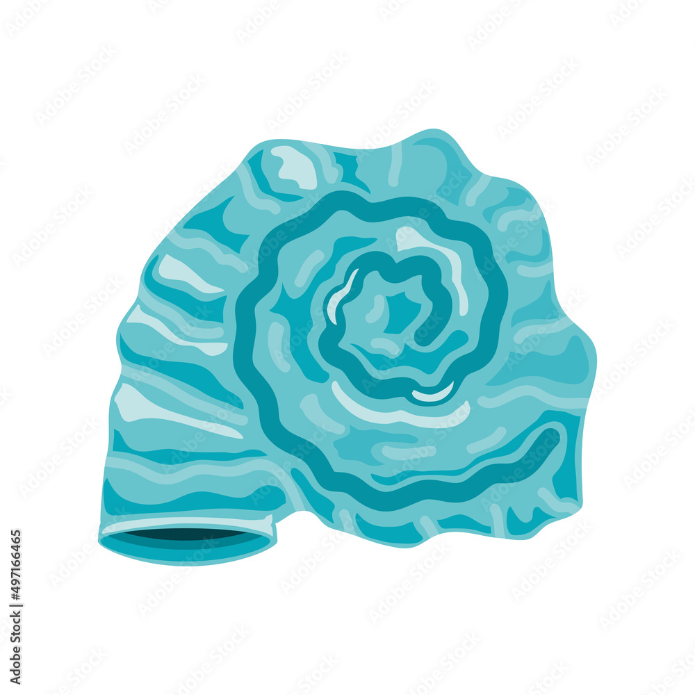 blue sea shell blue sea shell