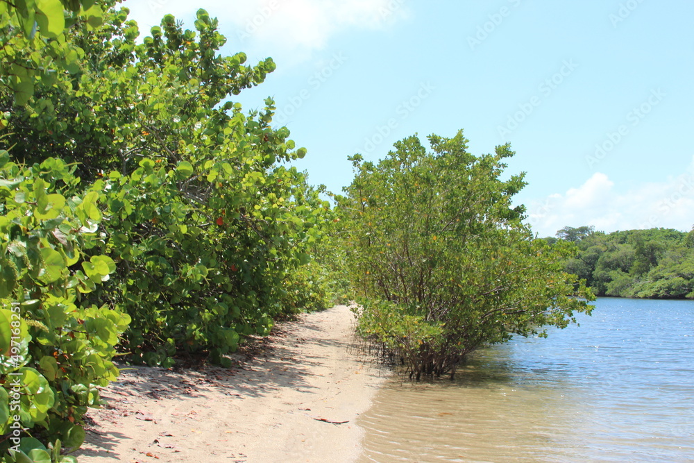 Island pathway against the intercoastal Island pathway against the intercoastal