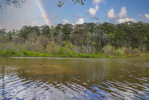 a vast silky brown rippling lake surrounded by lush green trees and plants with blue sky, clouds and a rainbow in the sky at Murphey Candler Park in Atlanta Georgia USA photo