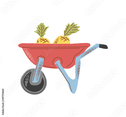 wheelbarrow with pineapples