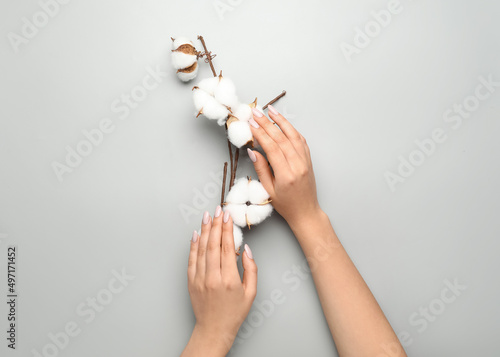 Female hands with beautiful manicure and branch with cotton flowers on grey background