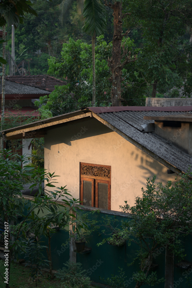 old abandoned concrete house in rural sri lankan village countryside in evening light with trees and vegetation surrounding the area, buildings and interiors, architecture, structure.