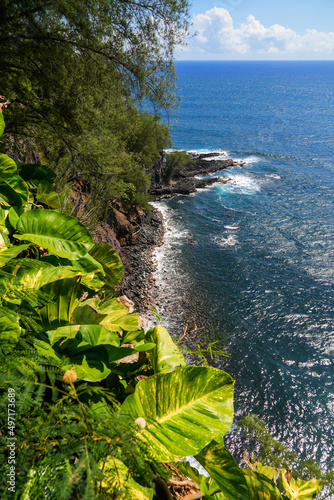 View of the Pacific Ocean from the top of a cliff near Charles Lindbergh's grave in the burial ground of the Palapala Ho‘omau Congregational Church in Kipahulu on Maui island in Hawaii photo