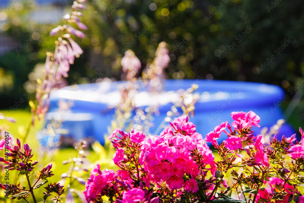 Selective focus. Pink flowers on the background of a blue pool in the garden on a summer day. Selective focus. Pink flowers on the background of a blue pool in the garden on a summer day.