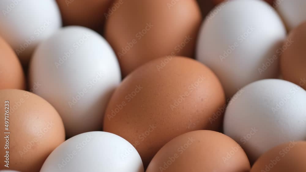 Chicken egg, rotation shot, Chicken fresh raw eggs.Healthy fresh food ingredients for breakfast. Animal products. Grocery. Chicken farm fresh eggs Chicken egg, rotation shot, Chicken fresh raw eggs.Healthy fresh food ingredients for breakfast. Animal products. Grocery. Chicken farm fresh eggs