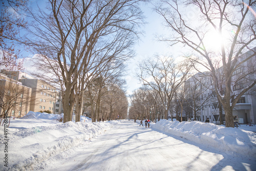 Snow covered the Center path of Hokkaido University, North Japan, Winter.