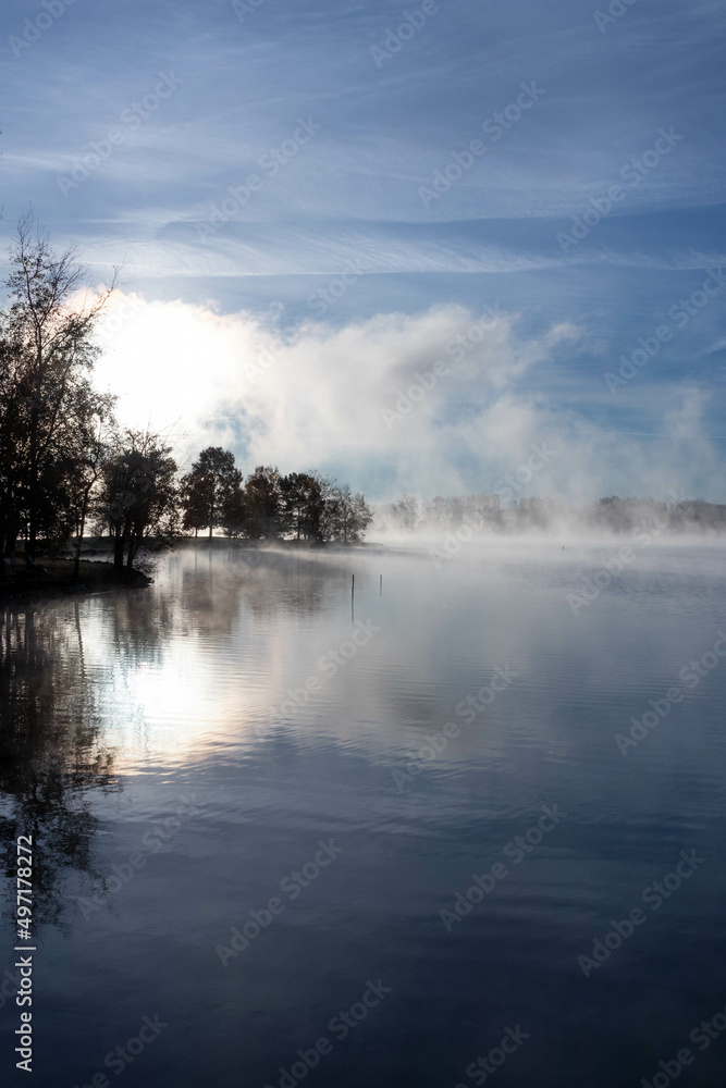 Fototapeta premium Tree Silhouette Along Foggy Lake 