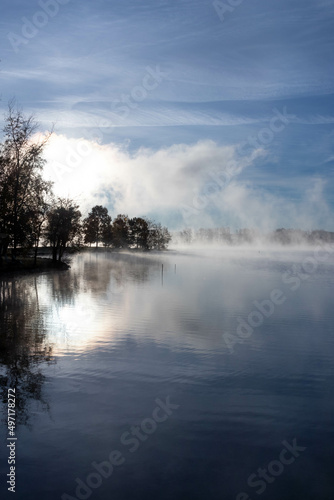 Tree Silhouette Along Foggy Lake  © suraju