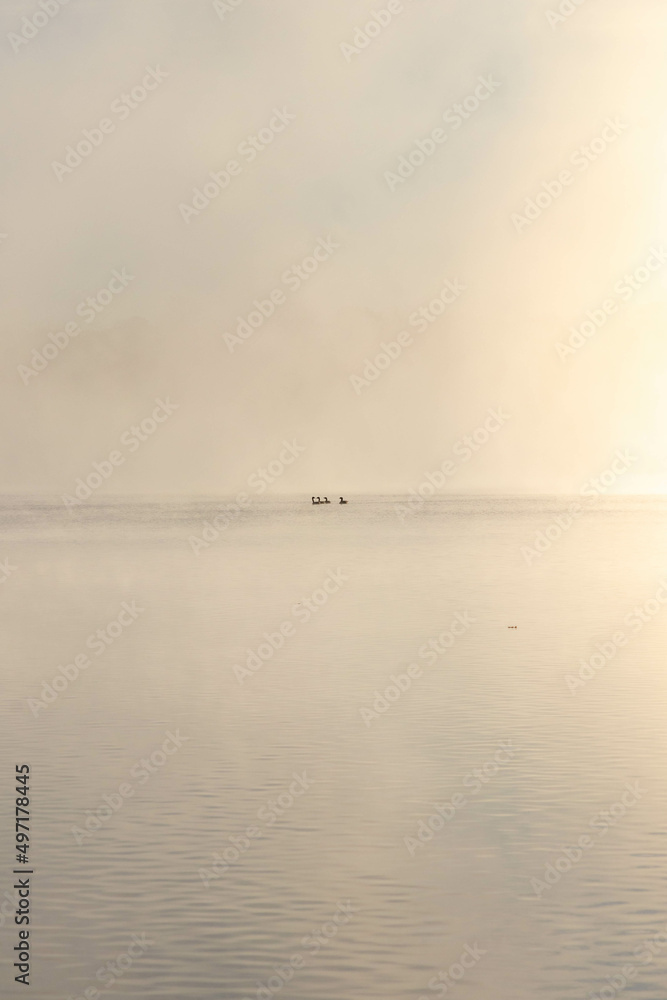 View of a Foggy Lake in Virginia View of a Foggy Lake in Virginia