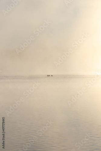 View of a Foggy Lake in Virginia
