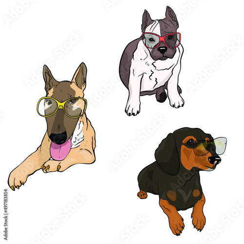 Vector illustration of set of dogs with glasses. Fashion illustration of smiling animals for printing  logo  icon  designers as a blank