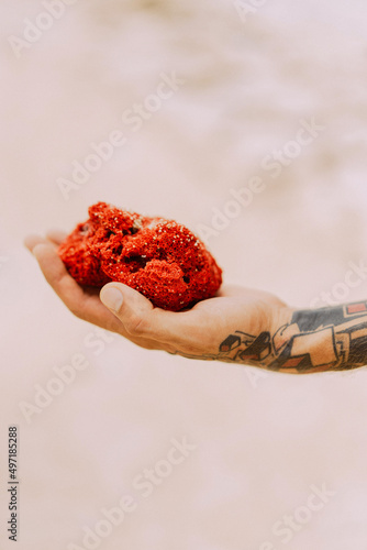 Man holding red coral on his hand