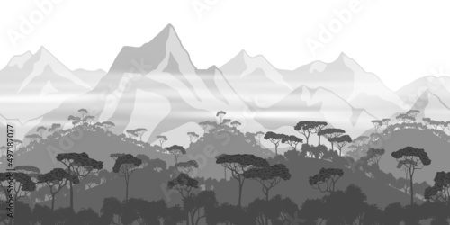Rainforest hills, jungle against the backdrop of snow-capped mountains. View of southern nature, black and white landscape.