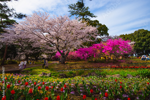 Wallpaper Mural 別府公園 Torontodigital.ca