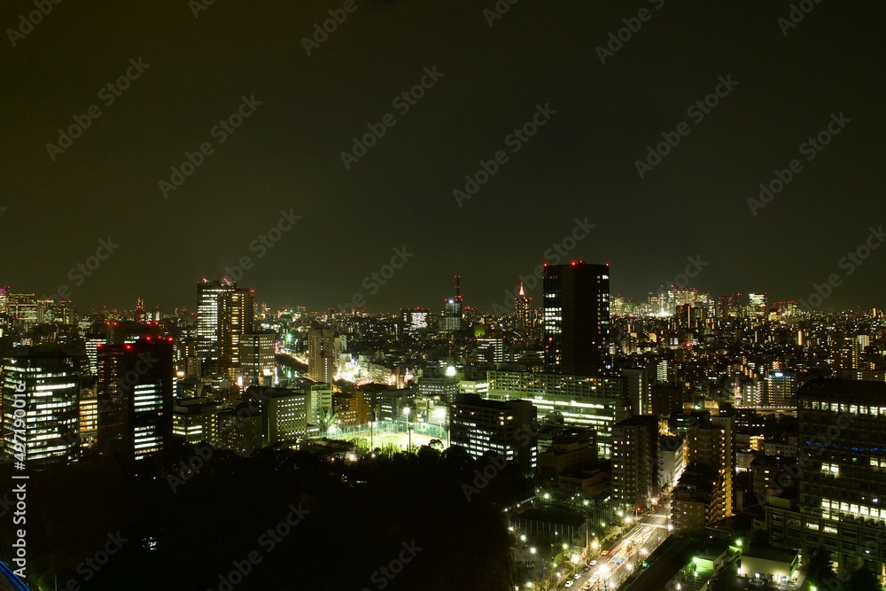 Obraz premium Taking in Tokyo