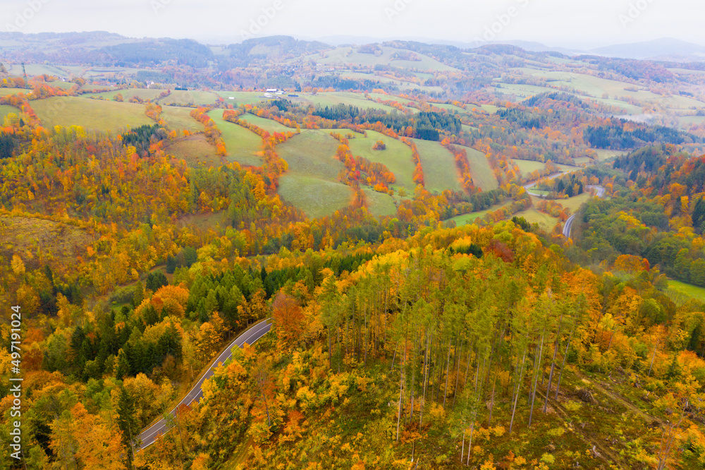 Aerial view of picturesque autumn hilly landscape with winding road between yellow trees..
