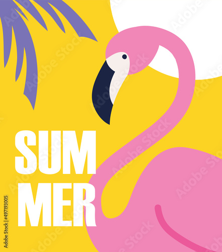 summer flamingo bird