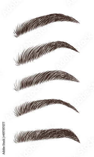 Eyebrows in different shapes. Linear vector Illustration in trendy minimalist style. Brow bar logo.