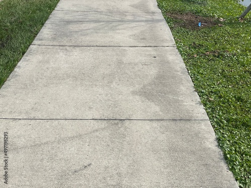 stone path in park