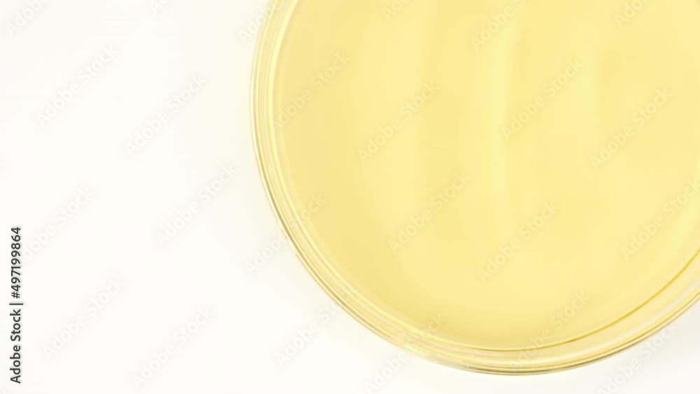 Slow Motion of Transparent Yellow Cosmetic Fluid Dripping into the Glass Petri dish. Chemical Laboratory Research. Macro Shot of Natural Organic Cosmetics, Medicine. Production Close-up. FullHD Slow Motion of Transparent Yellow Cosmetic Fluid Dripping into the Glass Petri dish. Chemical Laboratory Research. Macro Shot of Natural Organic Cosmetics, Medicine. Production Close-up. FullHD