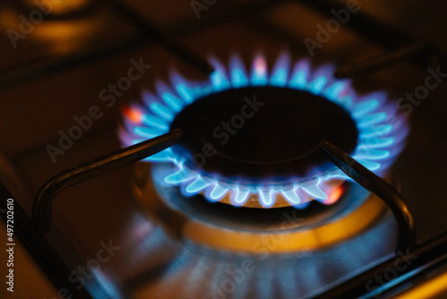 a fire lights up in the burner of the gas stove. A stove uses combustible or natural gas from the city gas network or liquefied gas as fuel. the energy crisis and rising energy prices. 