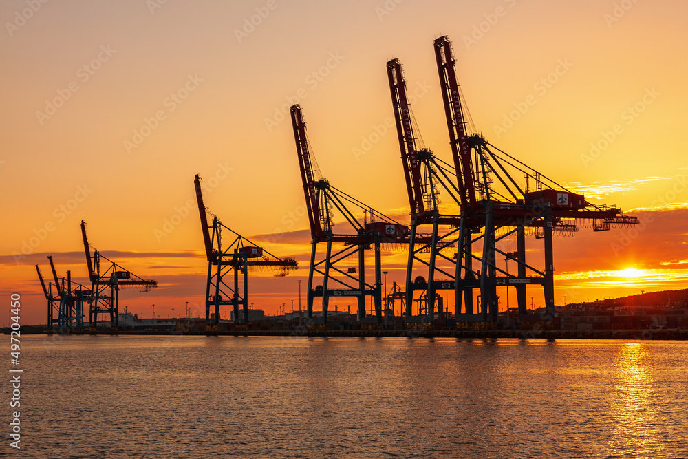 Seaport with container cranes at a beautiful sunset