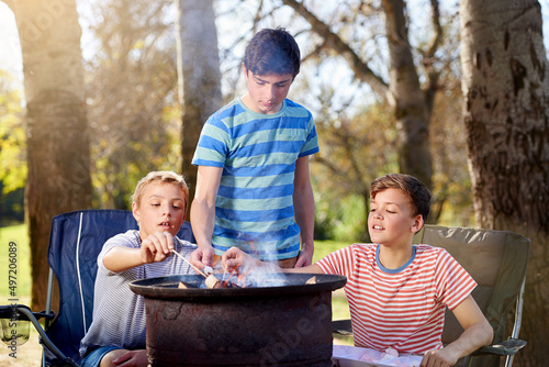 Hanging out around the campfire. Cropped shot of young boys roasting marshmallows over a campfire.