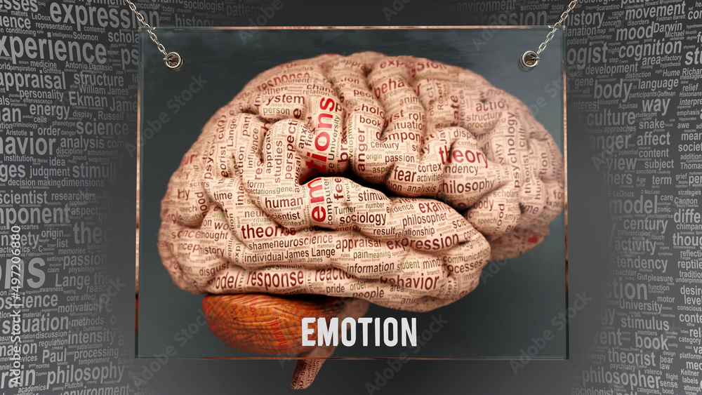 Emotion in human brain dozens of important terms describing Emotion