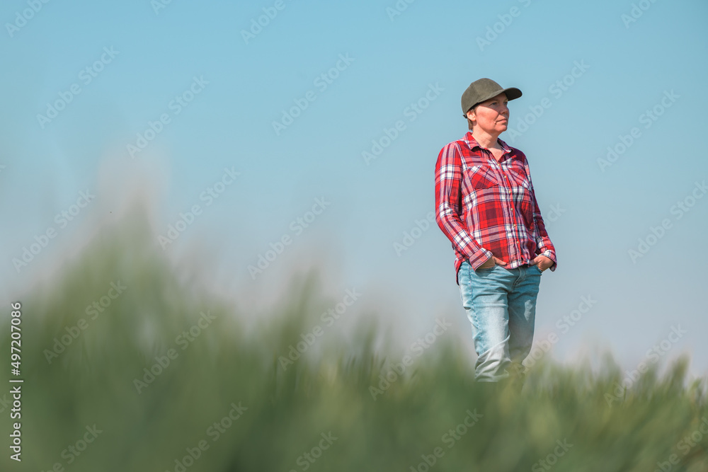 Portrait of female farmer in cultivated wheat seedling field
