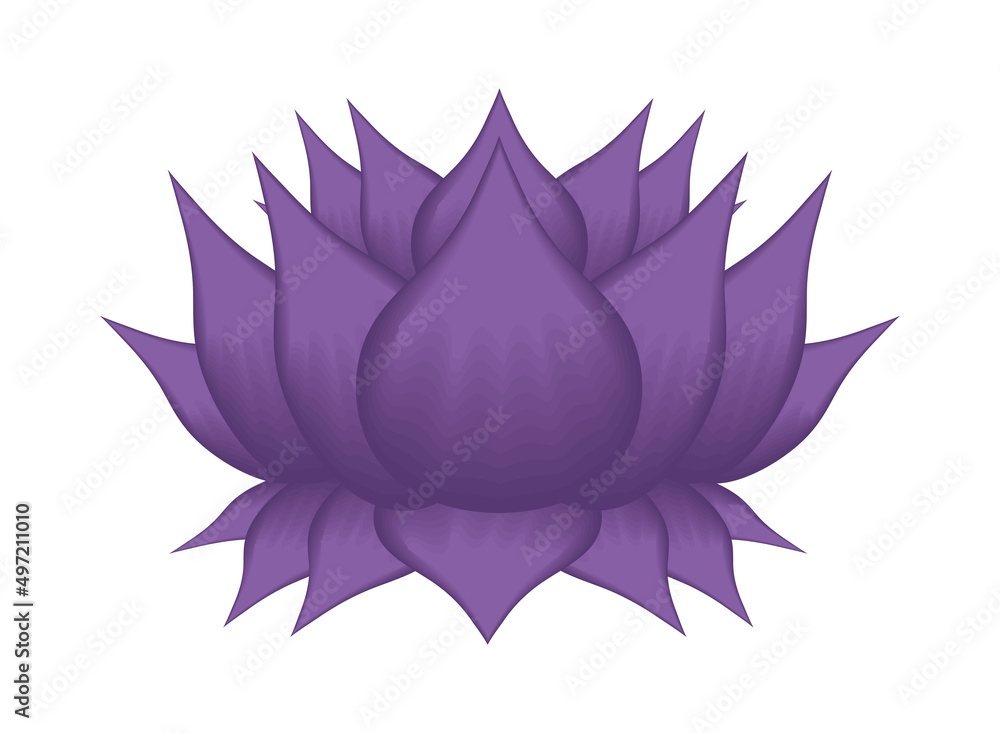 Obraz premium purple lotus flower