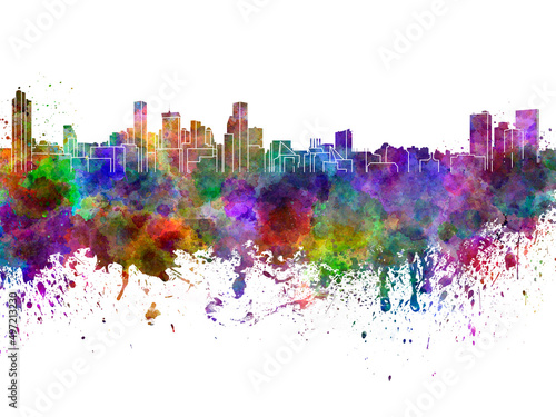Baltimore skyline in watercolor on white background