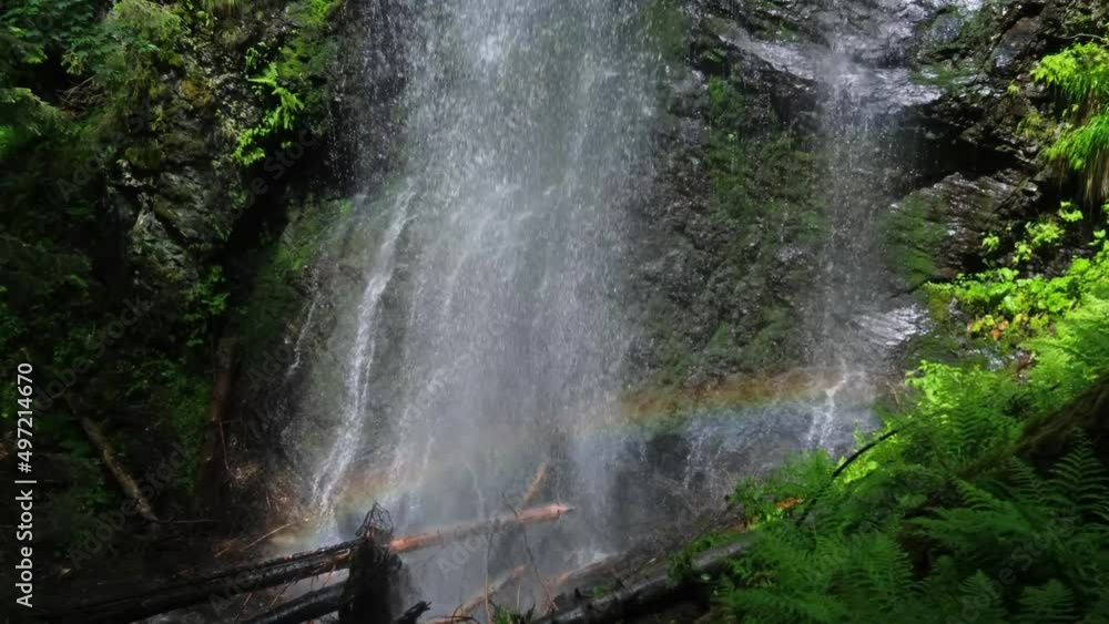 Summer Yalyn waterfall, highest one in Ukrainian Carpathian Mountains, Marmaros. Beautiful rainbow in water streams and water dust. Vertical panning video from hand, some uneven move and shaking. Summer Yalyn waterfall, highest one in Ukrainian Carpathian Mountains, Marmaros. Beautiful rainbow in water streams and water dust. Vertical panning video from hand, some uneven move and shaking.