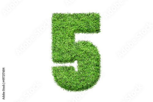 5 number in green grass filled the character . Isolated from a white background