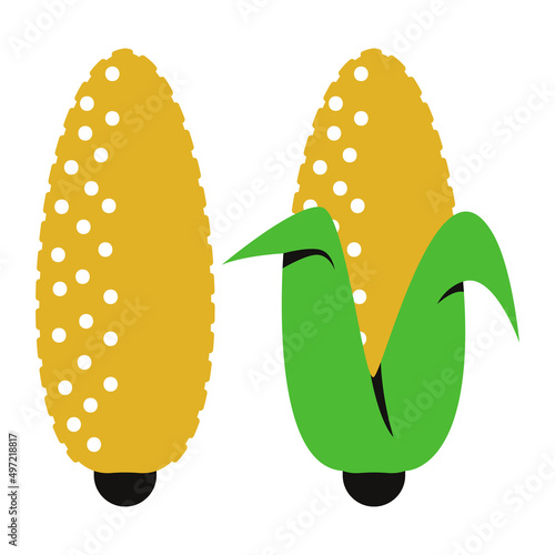Corn cob vector simple illustration isolated on a white background.