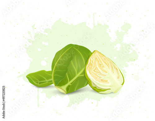Brussels sprouts with half piece of vegetable  and leaf of Brussels Sprouts