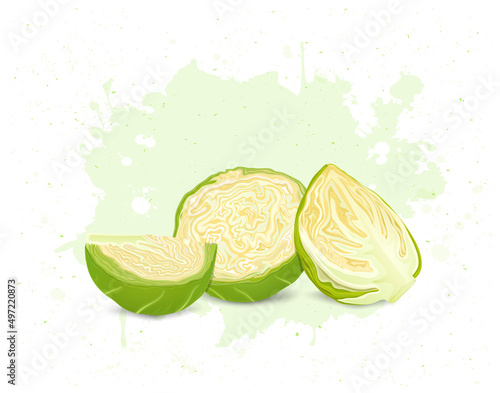 Half piece and slices of brussels sprouts vegetable vector illustration