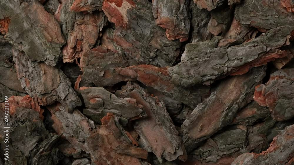 Wooden texture. Tree bark texture top view, rotation. Shredded pine tree bark Wooden texture. Tree bark texture top view, rotation. Shredded pine tree bark