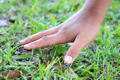 human hand touching grass and soil