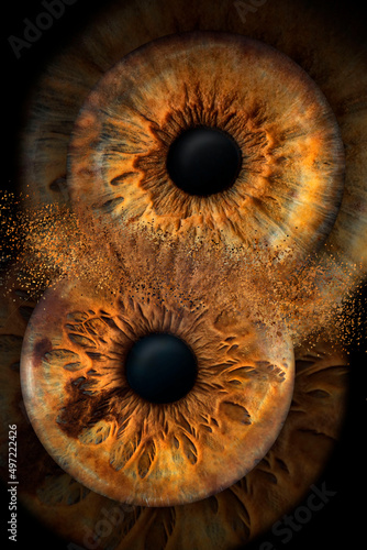 photo of two eyes taken in macro mode, of different persons and same color and simulating collision