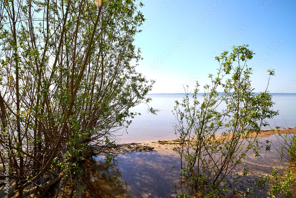 Blue sky and colorful water in lake reflected in evening and green plants