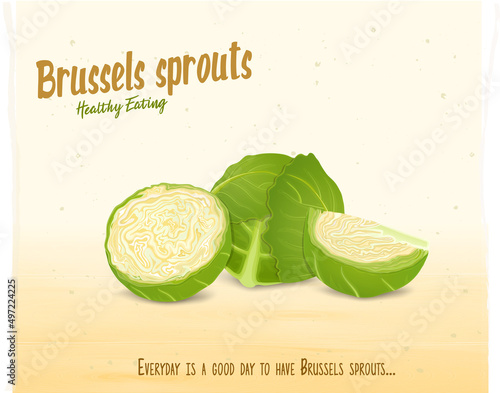 Brussels sprouts vegetable vector illustration on brown background