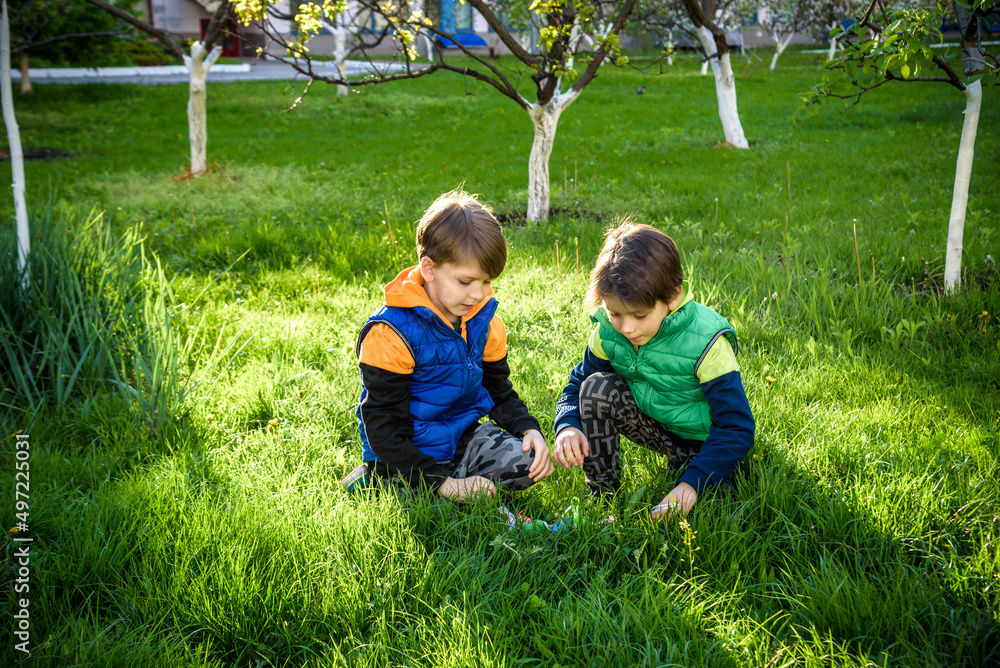 Obraz premium Kids on Easter egg hunt in blooming spring garden. Children searching for colorful eggs in flower meadow. Toddler boy and his brother friend kid boy play outdoors