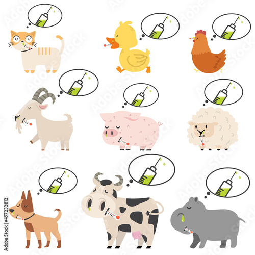 Sick animals Swine Flu a vaccination concept