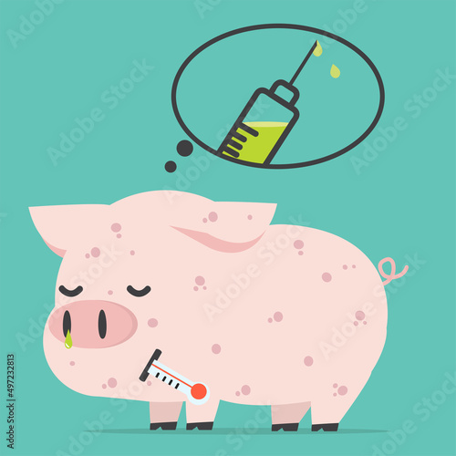 Sick Pig  Swine Flu a vaccination concept