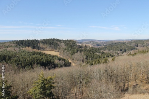 View from Lookout tower Vysok    Tachov  Czech Republic