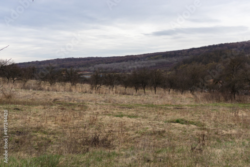 Amazing view of the meadow and forest between hills. Early spring. Zakarpatska Oblast