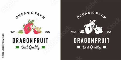 vintage drago fruit logo illustration suitable for fruit shop and fruit farm