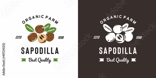 vintage sapodilla fruit logo illustration suitable for fruit shop and fruit farm