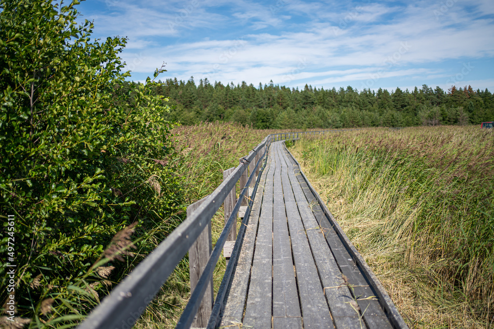 pitkospuut - woodenpath in finland