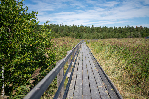 pitkospuut - woodenpath in finland